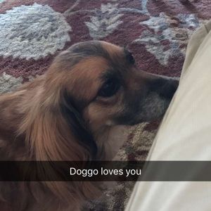 Meet your Posher, Bridget